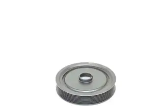 BSG 75170001 Krank Kasnagı