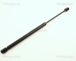 BSG 75980032 Bagaj Amortısörü