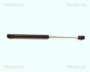 BSG 75980033 Bagaj Amortısörü