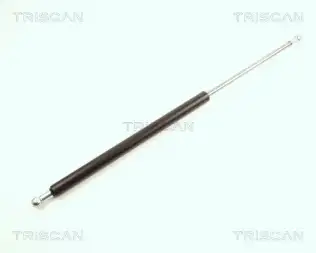 BSG 75980035 Bagaj Amortısörü