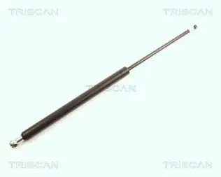 BSG 75980036 Bagaj Amortısörü