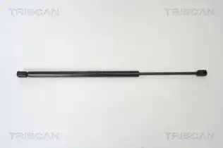 BSG 85980003 Bagaj Amortısörü