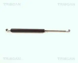 BSG 95980004 Bagaj Amortısörü
