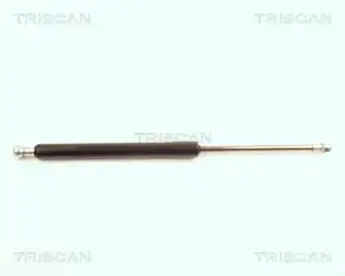 BSG 95980006 Bagaj Amortısörü