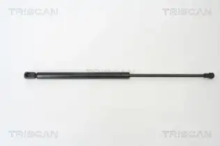 BSG 95980008 Bagaj Amortısörü