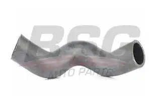 BSG 65720137 Radyatör Hortumu Giriş