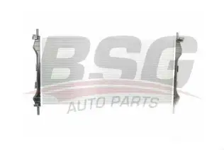 BSG 30520028 Su Radyatörü