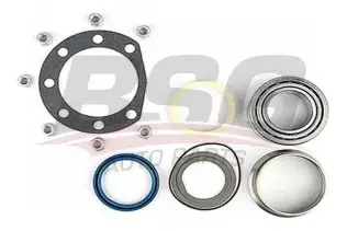 BSG 60600004 Porya Rulmanı Arka