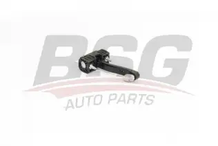 BSG 70975053 Kapı Gergisi Arka