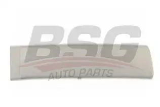 BSG 65925008 Kapı Bandı Arka Sağ