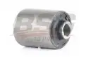 BSG 60700167 Salıncak Burcu