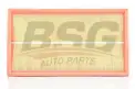 BSG 60135010 Hava Filtresi