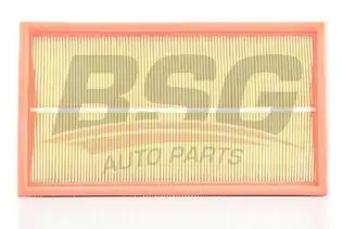 BSG 60135010 Hava Filtresi