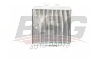 BSG 60530006 Kalorifer Radyatörü