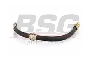 BSG 16730002 Fren Hortumu Arka