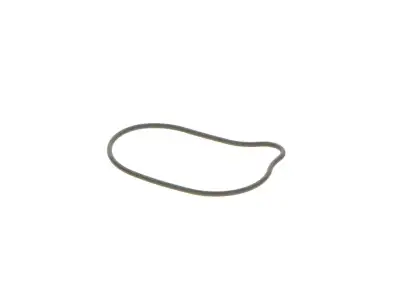 BOSCH 2440210028 O-Ring - 7. Görsel