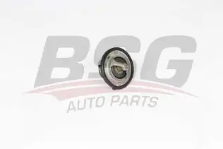 BSG 40126004 Termostat