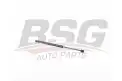 BSG 75980013 Bagaj Amortisörü