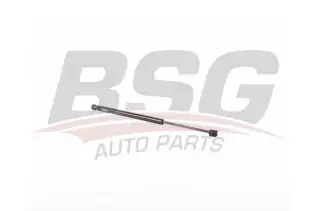 BSG 75980013 Bagaj Amortisörü