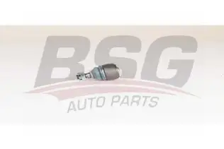 BSG 60310286 Rot Başı Ön