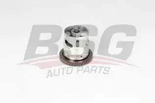 BSG 60101004 Yağ Pompası