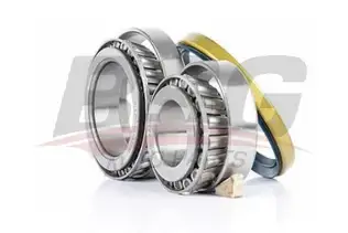 BSG 60600007 Porya Rulmanı Arka