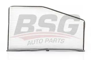BSG 90145008 Polen Filtresi