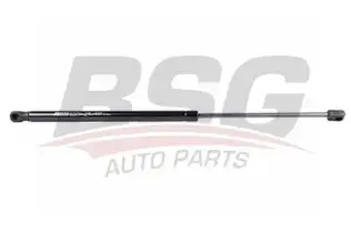 BSG 65980015 Motor Kaput Amortisörü