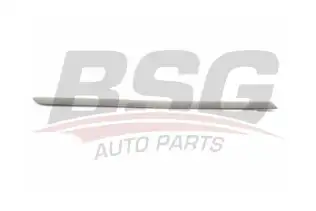 BSG 90924028 Kapı Bandı Arka Sağ