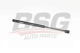 BSG 15980078 Bagaj Amortisörü