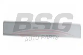 BSG 30924011 Kapı Bandı Ön