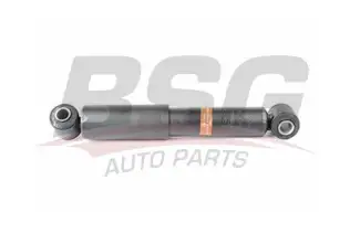 BSG 70300008 Amortisör Arka