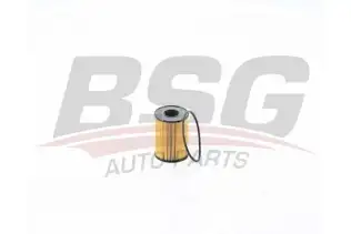 BSG 15140014 Yağ Filtresi