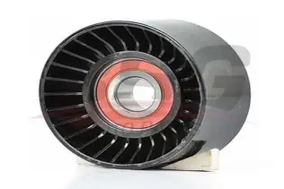 BSG 90615019 V Kayış Gergi Rulmanı
