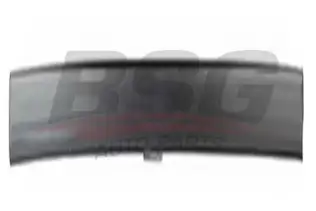 BSG 30924054 Kapı Bandı Ön Sol