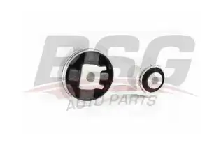 BSG 65700245 Motor Takozu