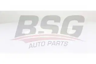 BSG 60145024 Polen Filtresi