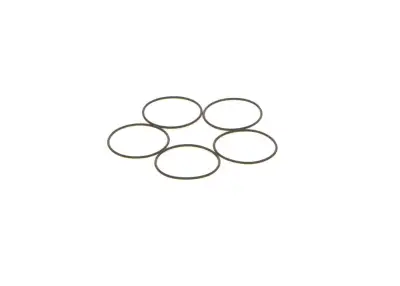 BOSCH 1410210053 O-Ring - 22. Görsel