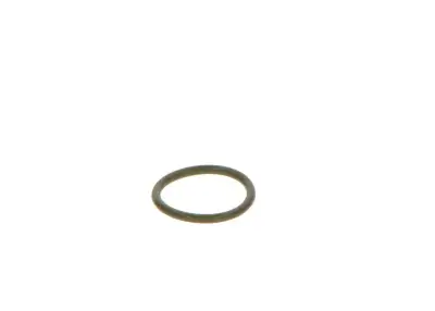 BOSCH F00VC38041 O-Ring - 17. Görsel