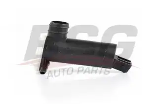 BSG 30850002 Su Fıskiye Motoru