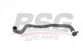 BSG 15720064 Termostat Hortumu