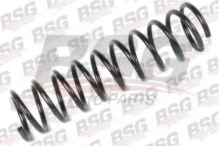 BSG 30305016 Helezon Yayı Arka