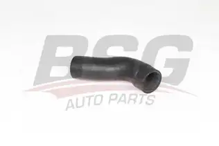 BSG 25720043 Turbo Hortumu