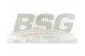 BSG 90145001 Polen Filtresi