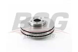 BSG 30210043 Fren Diski Ön