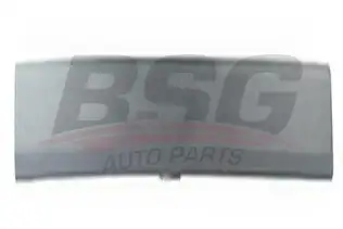 BSG 30924035 Kapı Bandı Takım