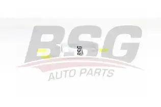 BSG 90130019 Yakıt Filtresi