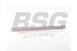 BSG 70925011 Kapı Bandı Arka Sağ