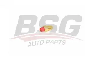BSG 25840009 Hararet Müşürü