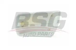 BSG 60915032 Ayna Kapağı Sol